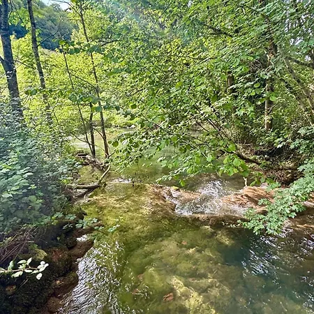 La Maison Du Ruisseau Strenquels